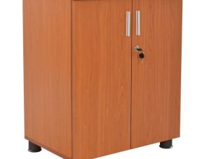 Ντουλάπι Γραφείου Επαγγελματικό Cherry HM2050.13 60X46X75Υ εκ.